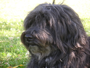 KONICA MINOLTA DIGITAL CAMERA