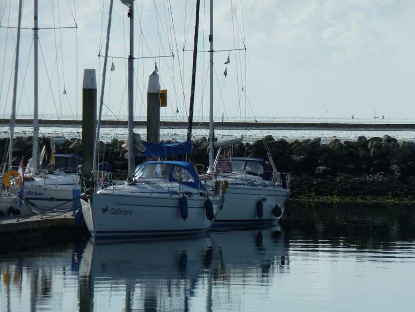 2017-09-02 Hafen Terschelling