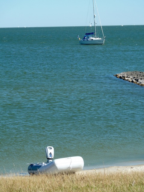 Calimero an Gummischwéin