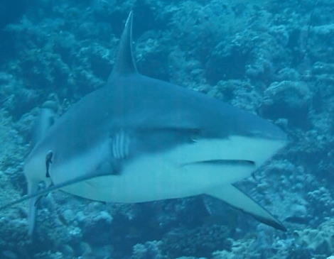 Bildschirmfoto 2019-11-01 um 17.56.41