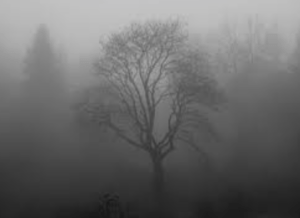 Bildschirmfoto 2019-11-25 um 09.11.45