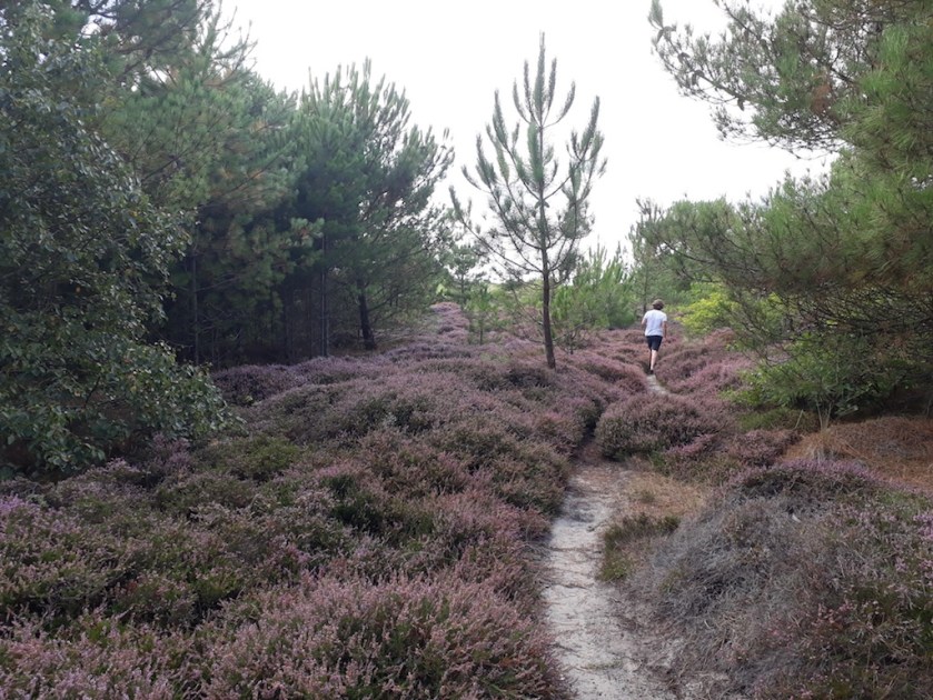 20200820_144316_resized