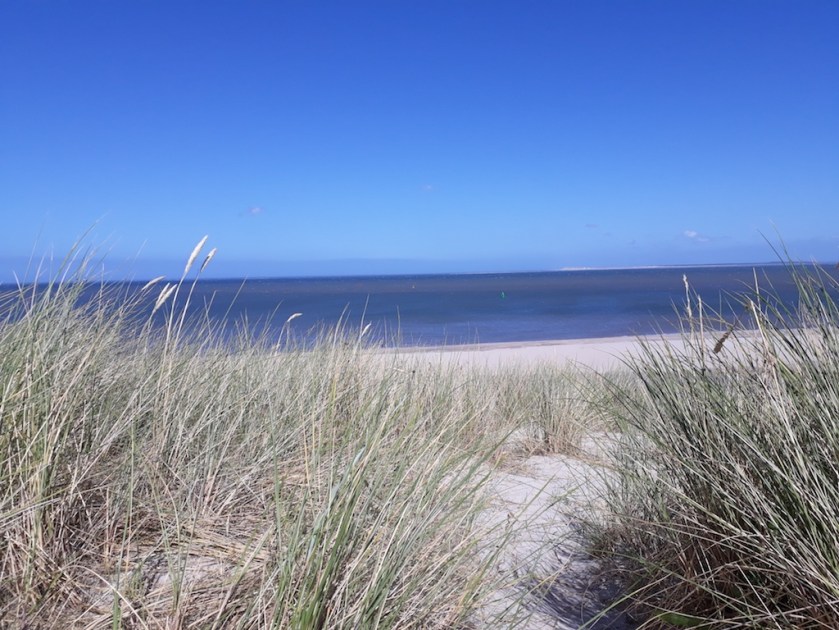 20200821_140310_resized